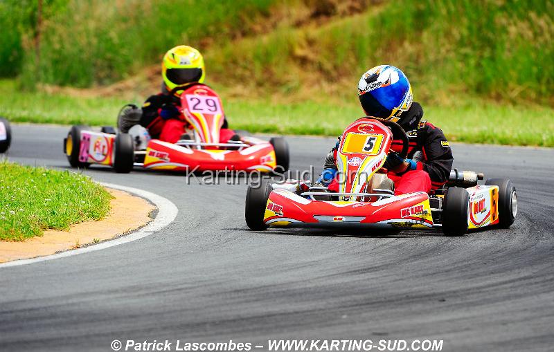 _DSC5081 copie.jpg